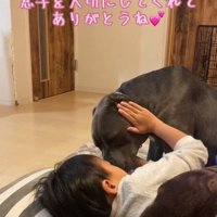 目を細めるハルクくん