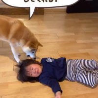 「僕のおもちゃでもいい？」