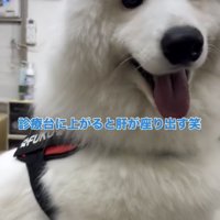 「終わったぜぇ」