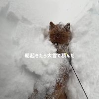 体の上に雪が！
