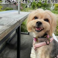 満面の笑みを見せてくれるように