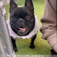 笑顔のあずきちゃん2