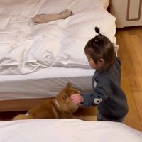 ほのちゃんが割って入るも…