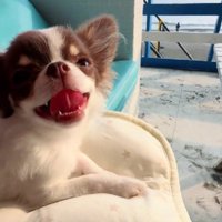 毎日を楽しんでるよ♪
