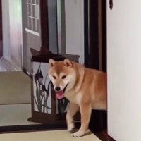 顔出しは完璧
