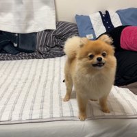 何かを訴えるむぎちゃん