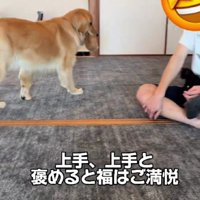 部屋中を練り歩く福ちゃん