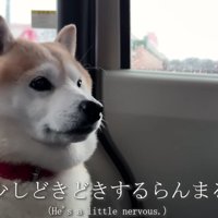 「ドキドキしてきた…」