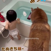 「それはダメかも…！」