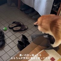 上手に布を引き寄せる