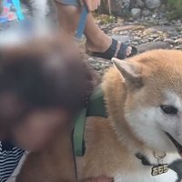 おもちくんとおばあちゃん