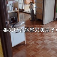 部屋を探索する柴犬