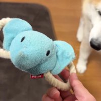 元通りの形に！！