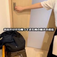 ドアを開ける仕草