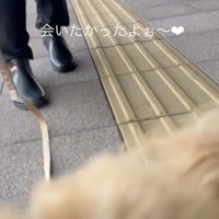 「おかえりぃぃ」