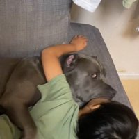 男の子に添い寝をする犬