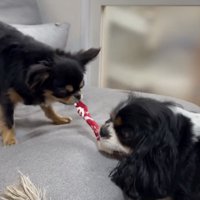 戦いは続いてた