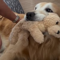 「まったくもう…」