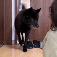 イトちゃんが気になる…