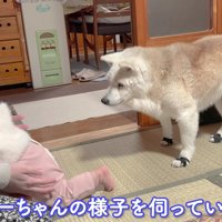 「大丈夫かな？」