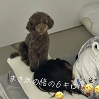 予想の倍の大きさに！