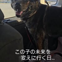 未来への希望を感じる素敵な表情