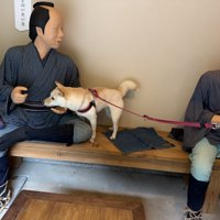 妹