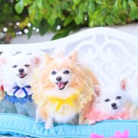 仲良く並んで