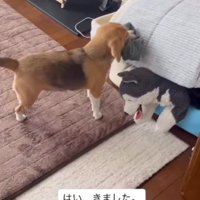 「今日はこれ着てね！！」