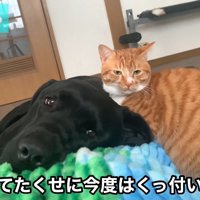 あっという間に仲直り♪
