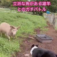 臆することなく挑みます