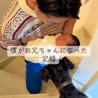 赤ちゃんに近づくゆずくん