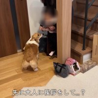大人に挨拶したら…