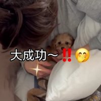 サプライズは大成功！！