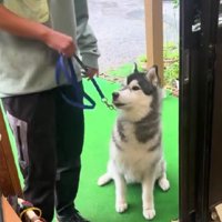 訓練所に迎えに行ったら…