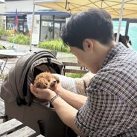 どんどん相思相愛に