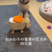 ごはんのおかわりを要求
