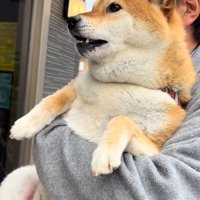 鳴いてしまうあーちゃん