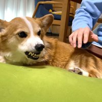 また怖い顔に！