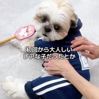 これからも会えるよ