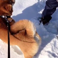 近所のおじいちゃん