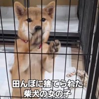近隣の方が保護したそう
