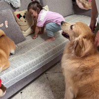 おからちゃんが説得します