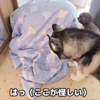 「布団の中じゃない…？」