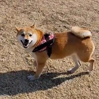 楽しくてニッコリ♪