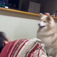 チョンチョンでも起きないと…