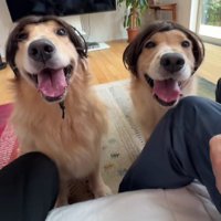 ニコニコでカツラを満喫