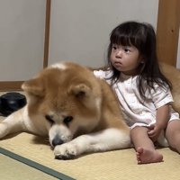 犬の背中に手を添える子ども