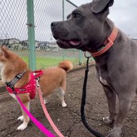 初めての笑顔！！初めての笑顔！！