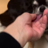 愛を感じるお出迎え♡